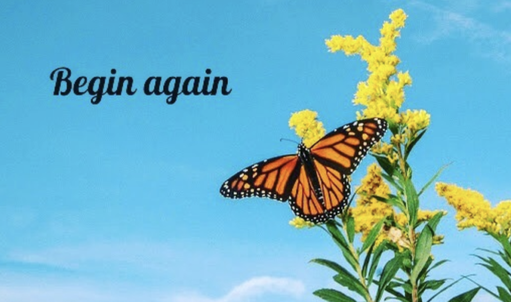 begin again